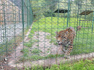 Zoo Sibiu — fotografia 3