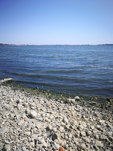 Lacul Techirghiol — fotografia 5