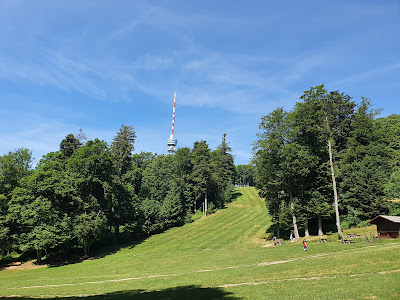 Činovnička livada — fotografia 3