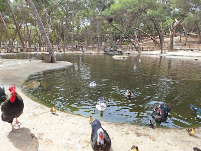Reina Sofía Park — fotografia 4