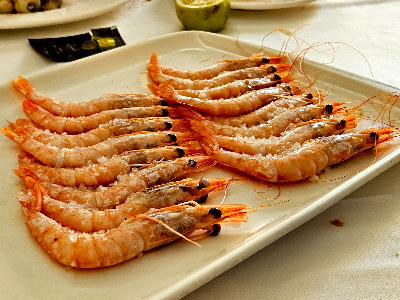 Jacinto — fotografia 5