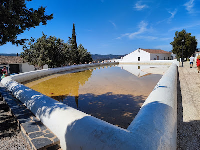 La Laguna — fotografia 5