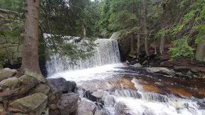 The Wild Waterfall — fotografia 2