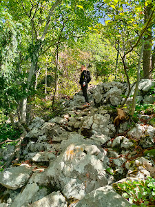 500 Horvat's steps — fotografia 4