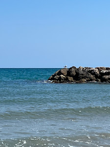 Platja Llarga — fotografia 5