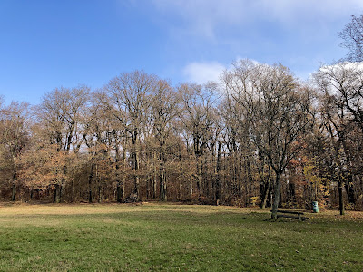 Kreuzeichenwiese — fotografia 3