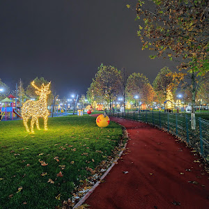 Parcul Tineretului Slatina — fotografia 5