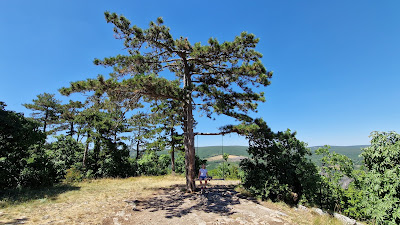 Flóra-pihenő — fotografia 5