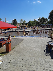 Băile sărate IDECIU de Jos. — fotografia 4