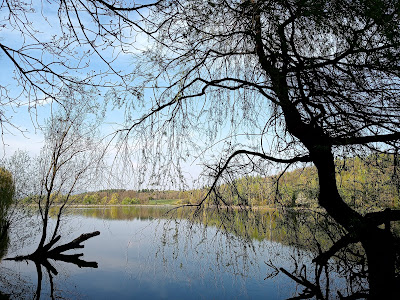 Malomvölgyi-tó kilátója — fotografia 5