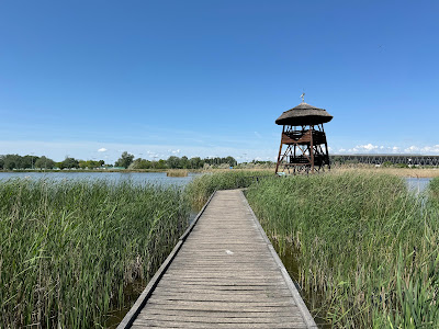 Salt Lake Nature Trail — fotografia 4