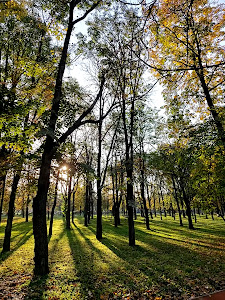 Parcul Ion C. Brătianu — fotografia 2
