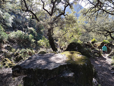 Llanos Del Campo — fotografia 5