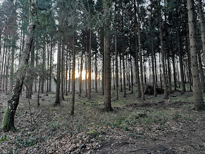 Harburger Berge — fotografia 5