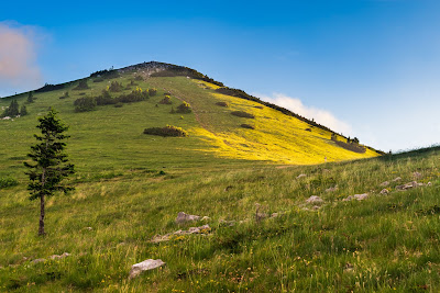 Zavižan - Balinovac - Zavižanska Kosa — fotografia 5
