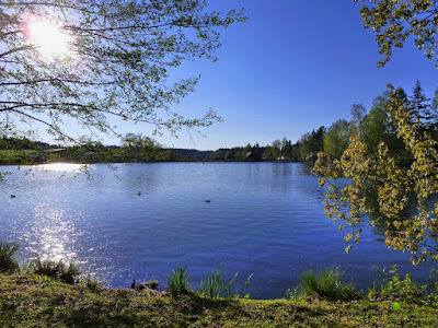 Campingplatz Hammerschmiedesee - Joachim Hug — fotografia 4