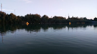Parque Las Graveras — fotografia 4