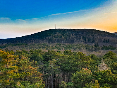 Sörházdombi-kilátó — fotografia 4