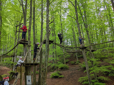 Cerwood Adventure Park — fotografia 4