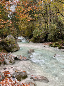 Ramsauer Ache im Zauberwald — fotografia 5