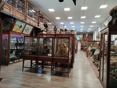 Muzeul Zoologic - UBB — fotografia 5