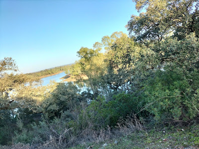 Sendero El Ronquillo — fotografia 3