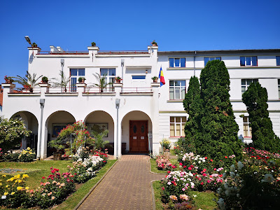 Muzeul Grădinii Botanice — fotografia 5