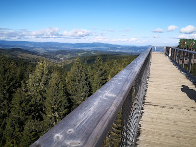 Treetop Walk Bachledka — fotografia 5