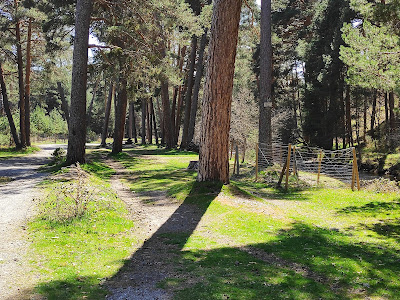 Área recreativa Los Asientos — fotografia 3