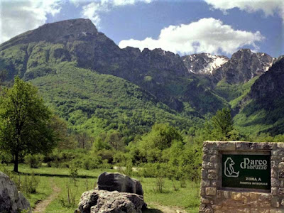 Riserva Naturale La Camosciara — fotografia 5