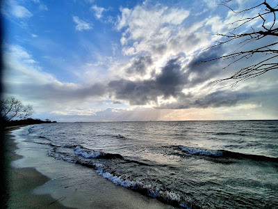 Dzika Plaża