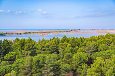 Divjaka-Karavasta National Park — fotografia 5
