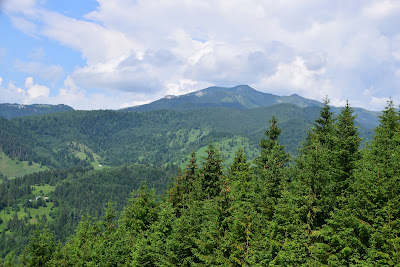 Salvamont Borşa
