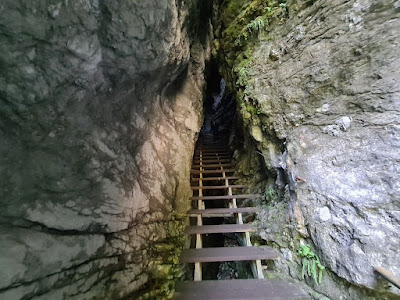 Pokljuka Gorge — fotografia 5