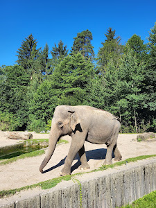 Ljubljana Zoo — fotografia 4