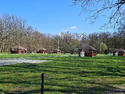 Pădurea Parc Șopa - Șelimbăr — fotografia 5