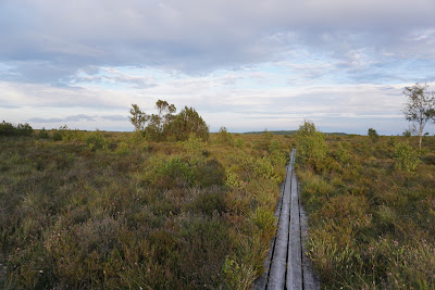 Toftesøtårnet — fotografia 4
