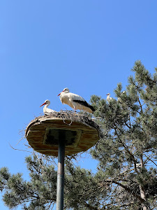 Bird- and Animal Park — fotografia 5