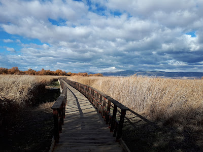 Tablas Daimiel — fotografia 5