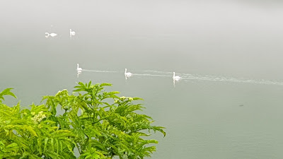 Pângărați — fotografia 5