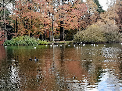 Julianen Park — fotografia 5
