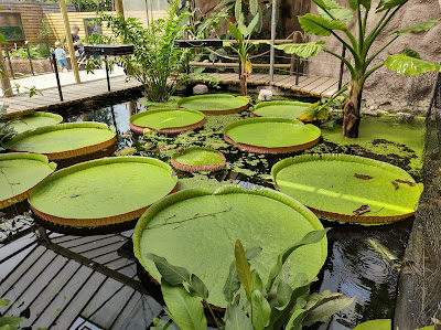 Almere Jungle — fotografia 5