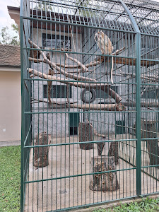 Zoo vrt Vrnjci — fotografia 4
