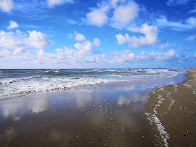 Nationaal Park Duinen van Texel — fotografia 5