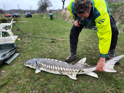 The trout fishponds Woldstek — fotografia 3