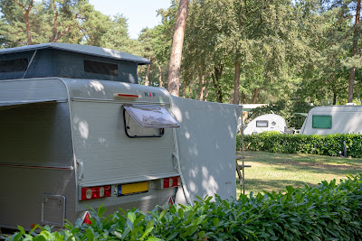 Camping Zuid Ginkel — fotografia 5