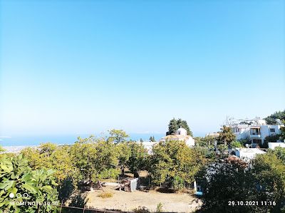 Zia — fotografia 4