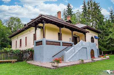 Muzeul Memorial „Mihail Sadoveanu” și Casa Memorială „Visarion Puiu” — fotografia 3