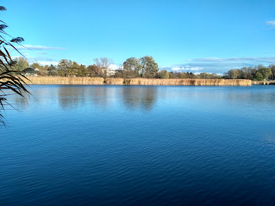 Siofok-Salt Lake Fishing Lake — fotografia 3