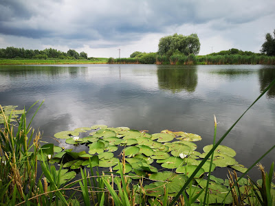 Grabovo